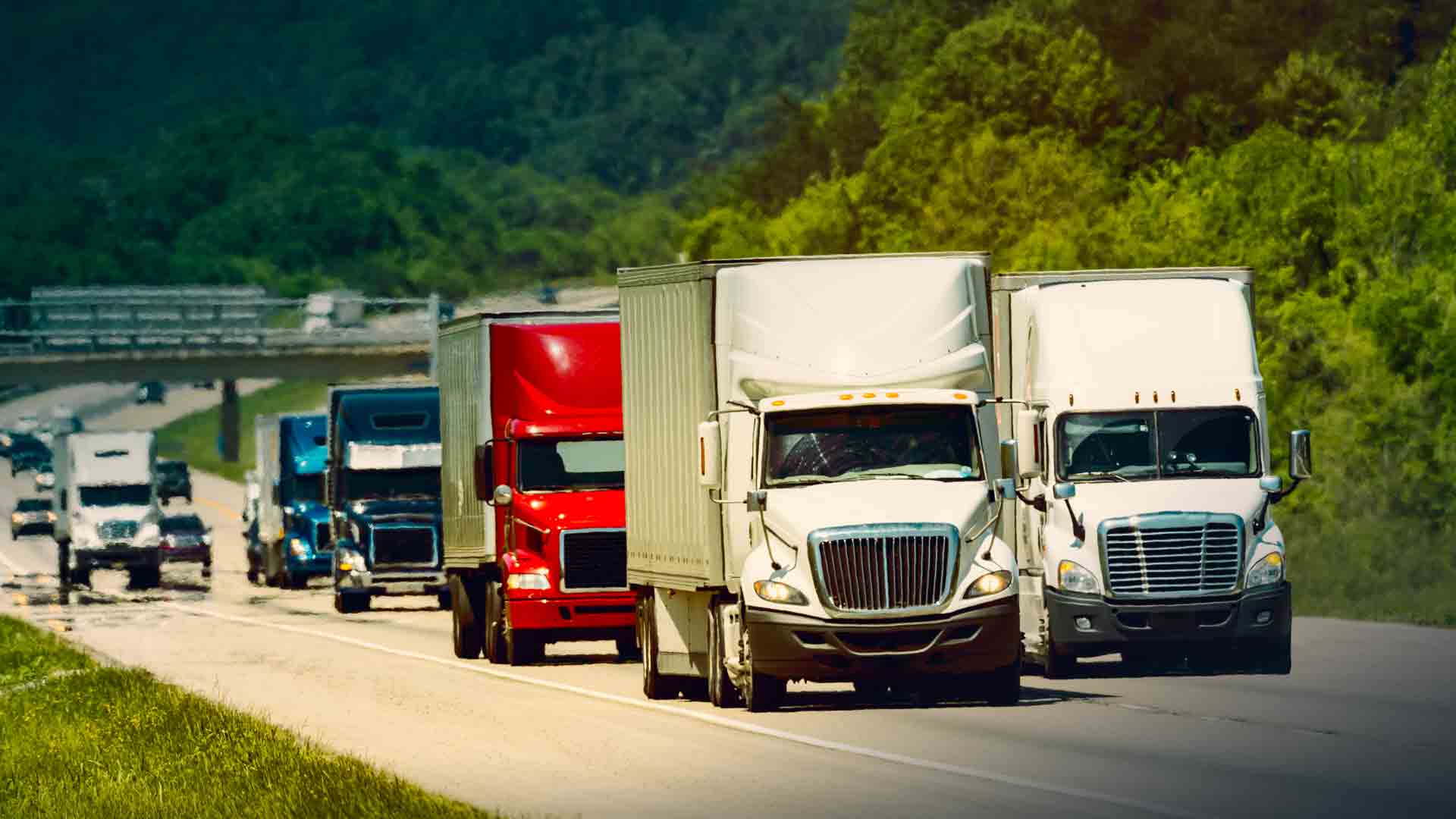 Nota Seguridad vial 12