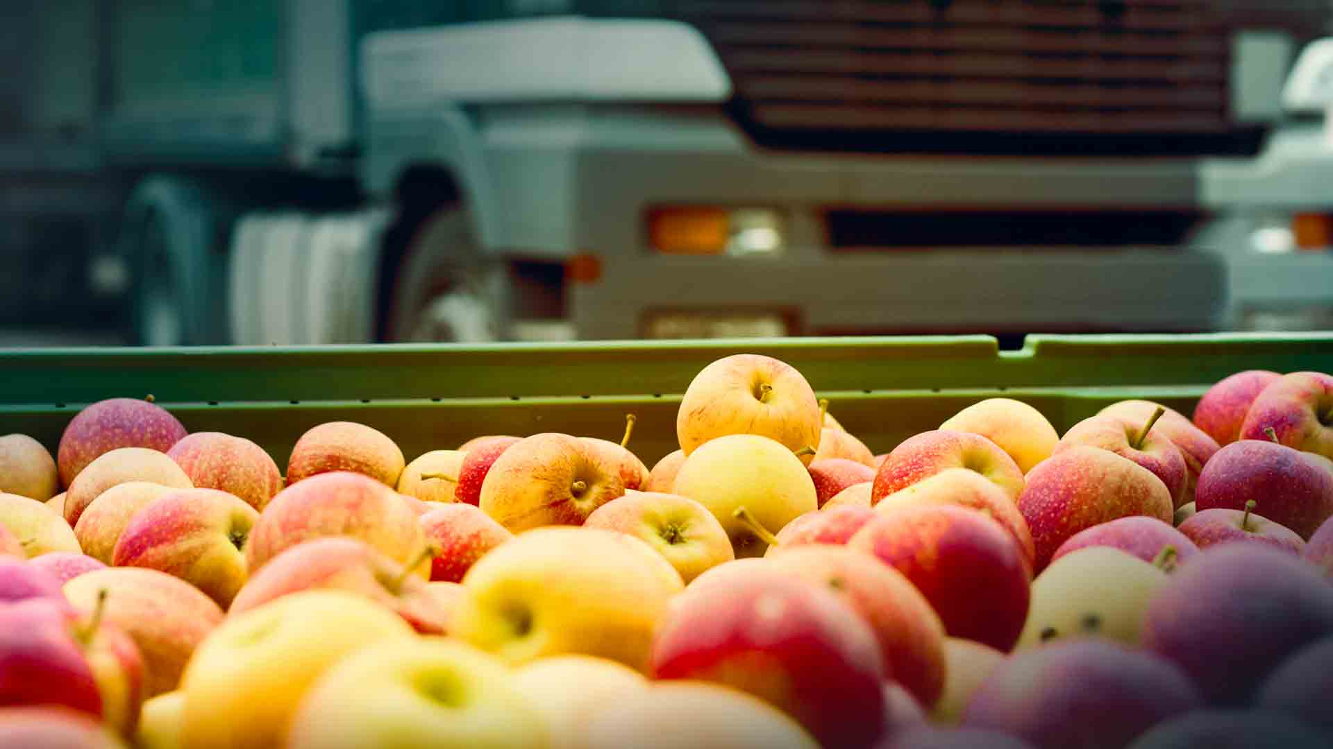 Tipos de carga clave en el transporte